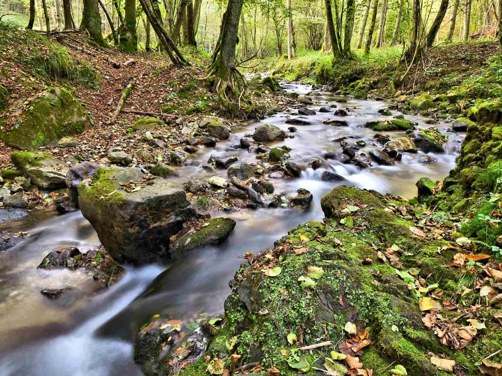 Nuove immagni del torrente Venenza